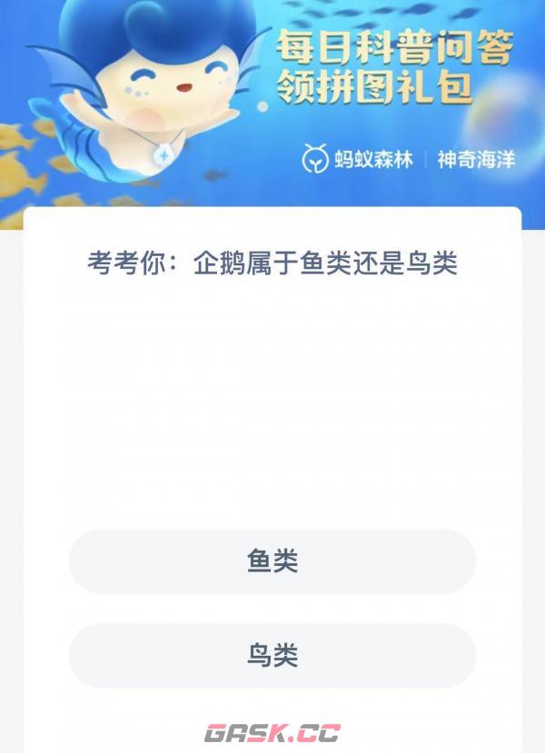 企鹅属于鱼类还是鸟类-第2张-手游攻略-GASK
