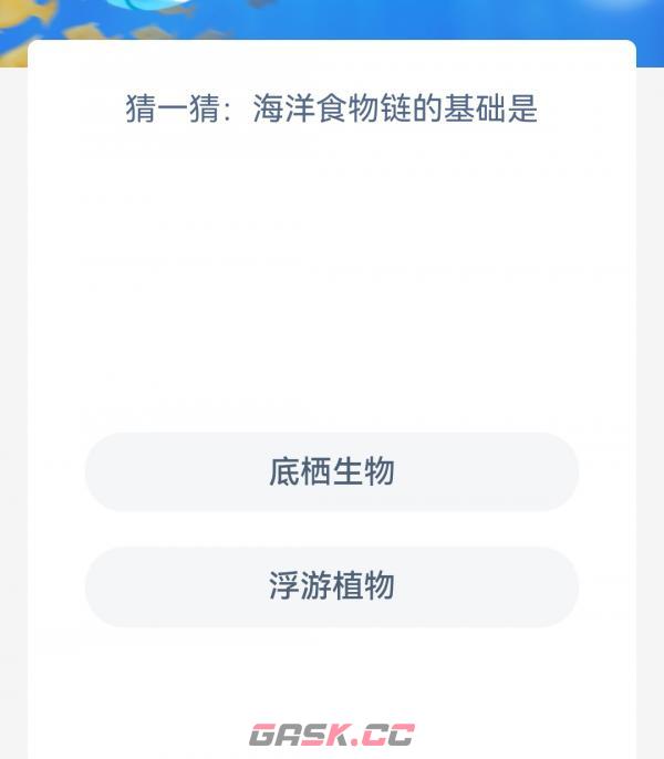 猜一猜海洋食物链的基础是-第2张-手游攻略-GASK