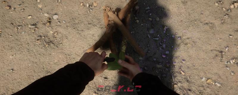 森林之子探索洞穴太黑了怎么办-第1张-单机攻略-GASK