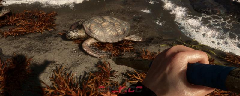 森林之子皮纳塔成就怎么做-第1张-单机攻略-GASK