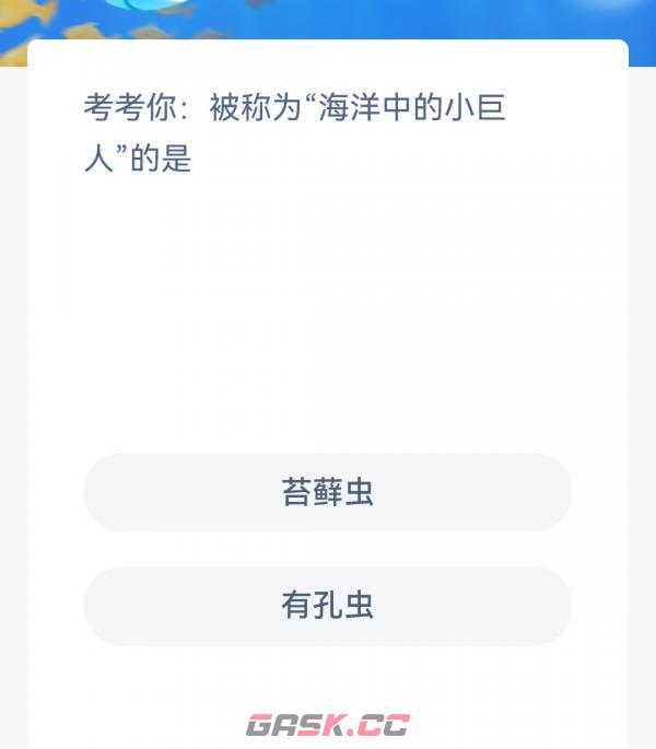被称为海洋中的小巨人的是-第2张-手游攻略-GASK