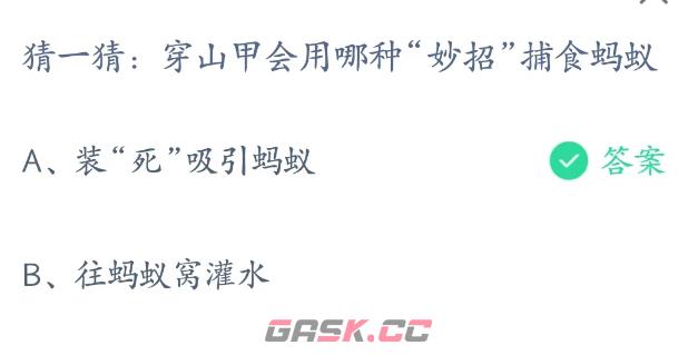 穿山甲会用哪种妙招捕食蚂蚁的-第2张-手游攻略-GASK