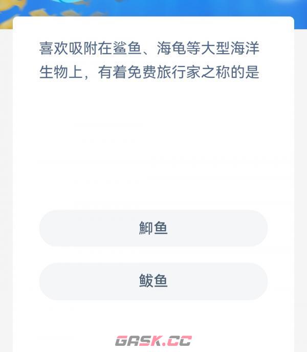 喜欢吸附在鲨鱼海龟等大型海洋生物上有着免费旅行家之称的是-第2张-手游攻略-GASK