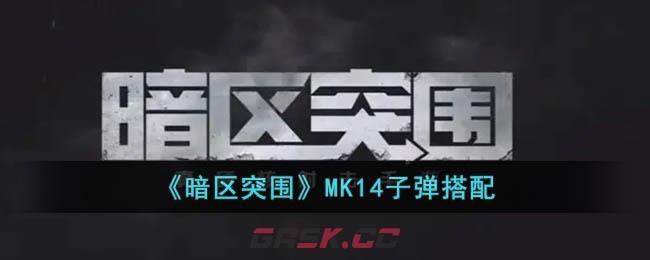 《暗区突围》MK14子弹搭配-第1张-手游攻略-GASK