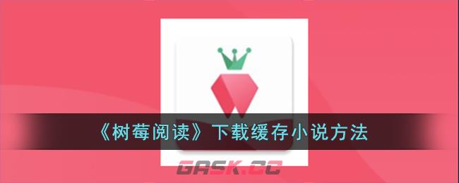 《树莓阅读》下载缓存小说方法-第1张-手游攻略-GASK