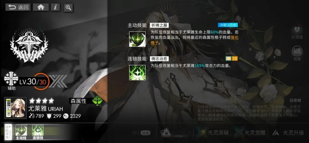 《白夜极光》战斗机制介绍-第9张-手游攻略-GASK