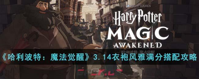《哈利波特：魔法觉醒》3.14衣袍风雅满分搭配攻略-第1张-手游攻略-GASK
