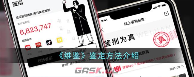 《维鉴》鉴定方法介绍-第1张-手游攻略-GASK