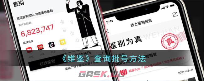 《维鉴》查询批号方法-第1张-手游攻略-GASK