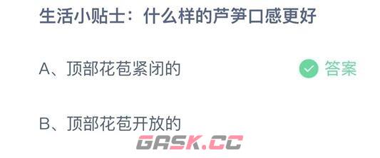 生活小贴士：什么样的芦笋口感更好-第2张-手游攻略-GASK