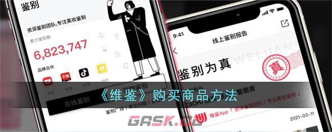 《维鉴》购买商品方法-第1张-手游攻略-GASK