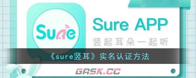 《sure竖耳》实名认证方法-第1张-手游攻略-GASK