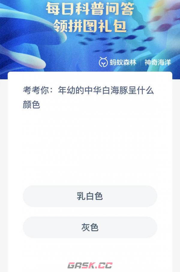 年幼的中华白海豚呈什么颜色-第2张-手游攻略-GASK