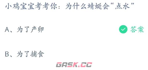 为什么蜻蜓会点水-第2张-手游攻略-GASK