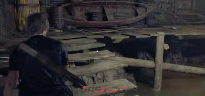 生化危机4重制版隐藏稀有昆虫位置攻略-第1张-单机攻略-GASK