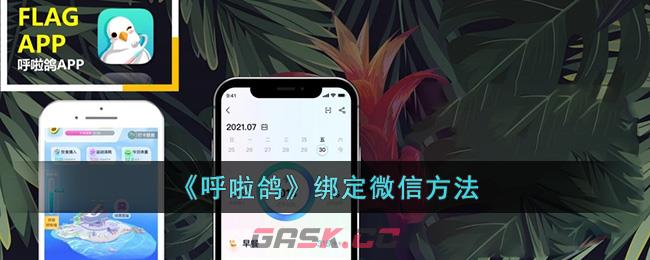 《呼啦鸽》绑定微信方法-第1张-手游攻略-GASK