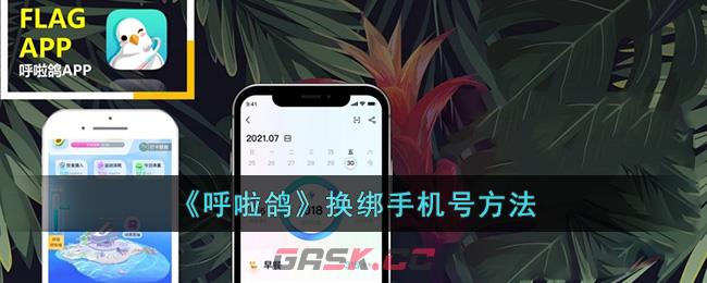 《呼啦鸽》换绑手机号方法-第1张-手游攻略-GASK