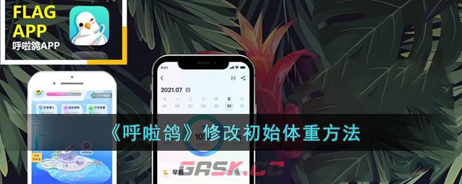 《呼啦鸽》修改初始体重方法-第1张-手游攻略-GASK