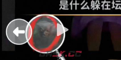 《看不见的真相》爸爸回来了通关攻略-第5张-手游攻略-GASK