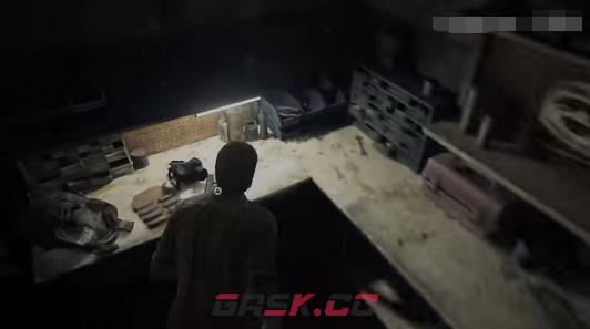 《最后的生还者》武器全收集一览-第2张-单机攻略-GASK