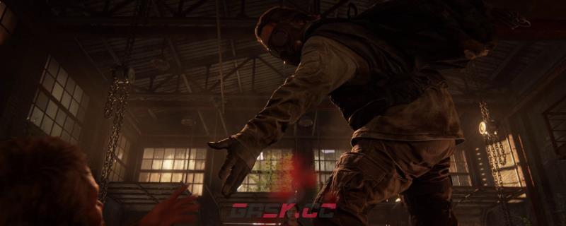 《最后的生还者》坠落的火萤成就怎么解锁-第1张-单机攻略-GASK