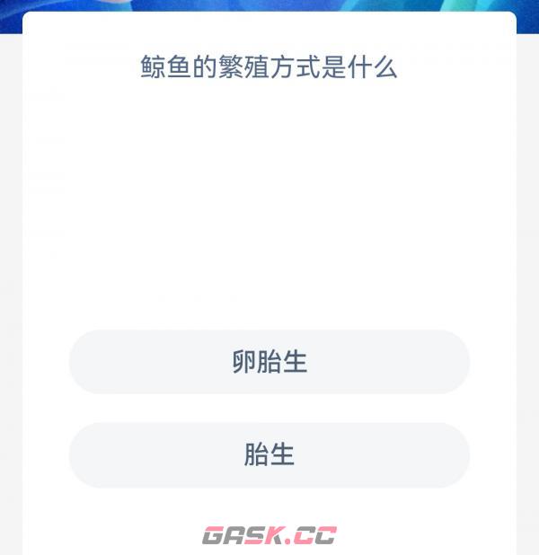 鲸鱼的繁殖方式是什么-第2张-手游攻略-GASK