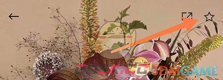 《野兽派》收藏商品方法-第3张-手游攻略-GASK