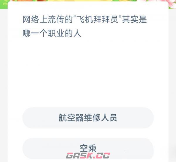 网络上流传的飞机拜拜员其实是哪一个职业的人-第2张-手游攻略-GASK