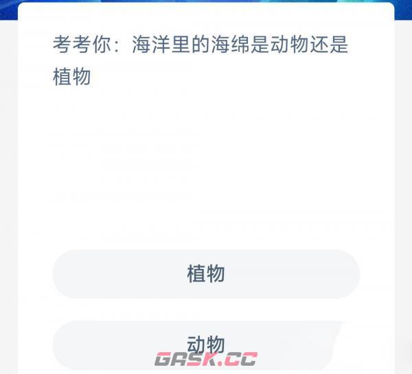 考考你海洋里的海绵是动物还是植物-第2张-手游攻略-GASK