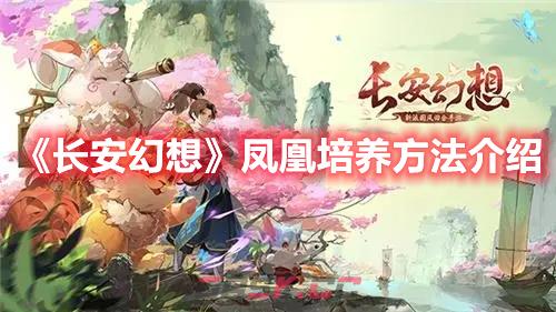 《长安幻想》凤凰培养方法介绍-第1张-手游攻略-GASK