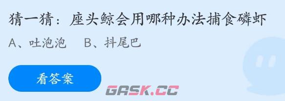 座头鲸会用哪种办法捕食磷虾-第2张-手游攻略-GASK