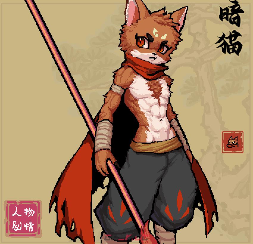 通神榜暗猫用什么流派-第2张-单机攻略-GASK