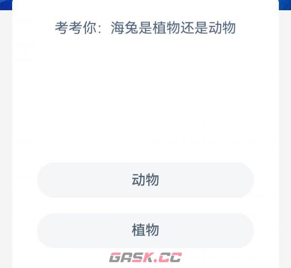 考考你海兔是植物还是动物-第2张-手游攻略-GASK
