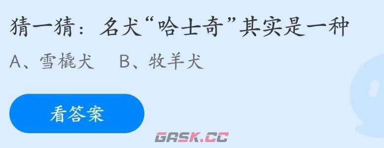 猜一猜名犬哈士奇其实是一种-第2张-手游攻略-GASK