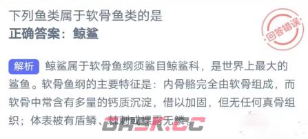 下列鱼类属于软骨鱼类的是-第2张-手游攻略-GASK