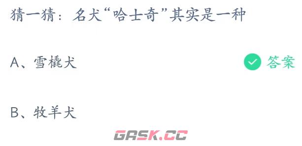 猜一猜名犬哈士奇其实是一种-第3张-手游攻略-GASK