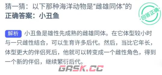 猜一猜以下那种海洋动物是雌雄同体的-第2张-手游攻略-GASK