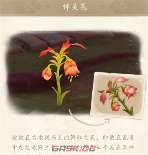 《原神》悼灵花刷新时间一览-第2张-手游攻略-GASK
