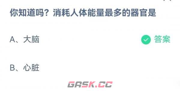 《支付宝》蚂蚁庄园4月19日答案最新2023-第2张-手游攻略-GASK