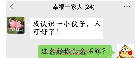 《疯狂梗传》回怼三个以上亲戚通关攻略-第2张-手游攻略-GASK