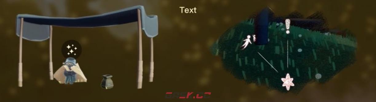 《光遇》茫然植物学生兑换物品一览-第2张-手游攻略-GASK