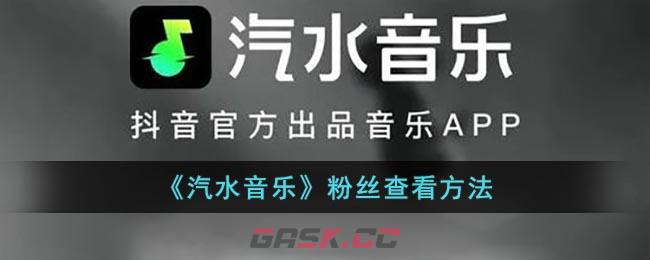 《汽水音乐》粉丝查看方法-第1张-手游攻略-GASK