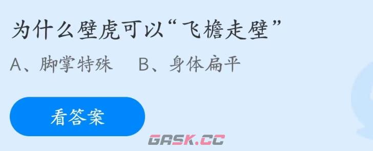 为什么壁虎可以飞檐走壁-第2张-手游攻略-GASK