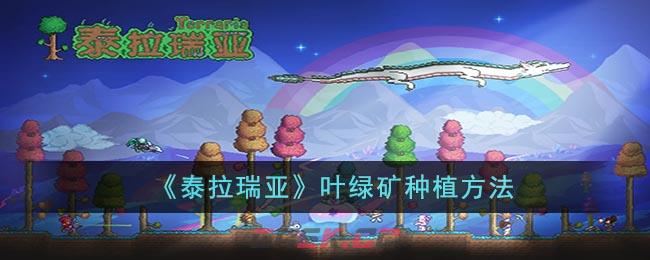 《泰拉瑞亚》叶绿矿种植方法-第1张-手游攻略-GASK