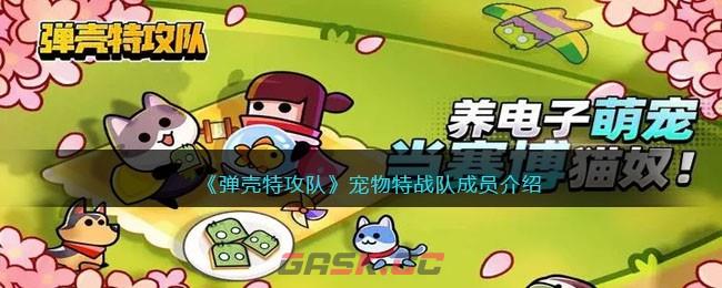 《弹壳特攻队》宠物特战队成员介绍-第1张-手游攻略-GASK