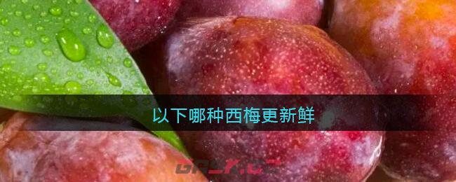 以下哪种西梅更新鲜-第1张-手游攻略-GASK