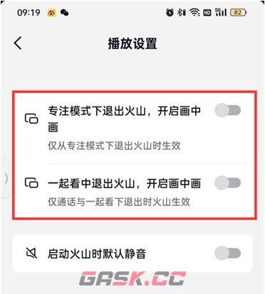 《抖音火山版》小窗口播放设置方法-第4张-手游攻略-GASK