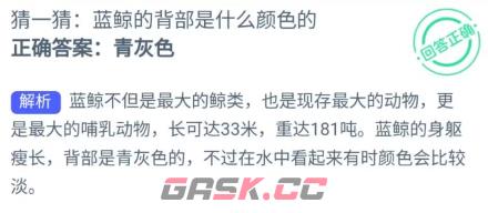 猜一猜蓝鲸的背部是什么颜色的-第2张-手游攻略-GASK