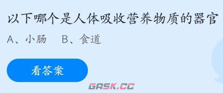 《支付宝》2023蚂蚁庄园5月31日答案最新-第2张-手游攻略-GASK