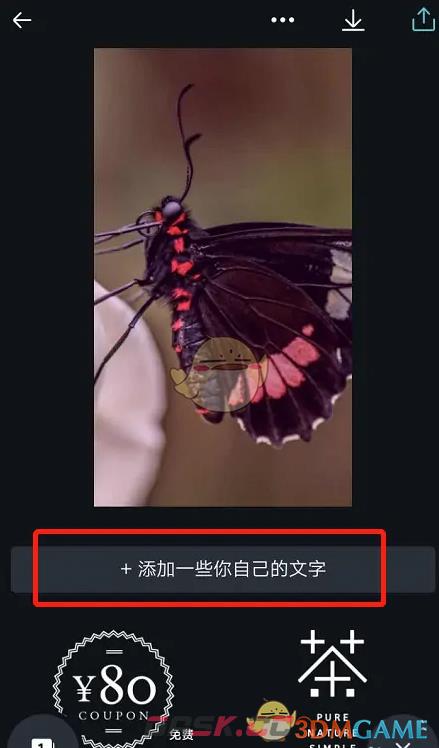 《canva可画》在图片中添加文字教程-第3张-手游攻略-GASK